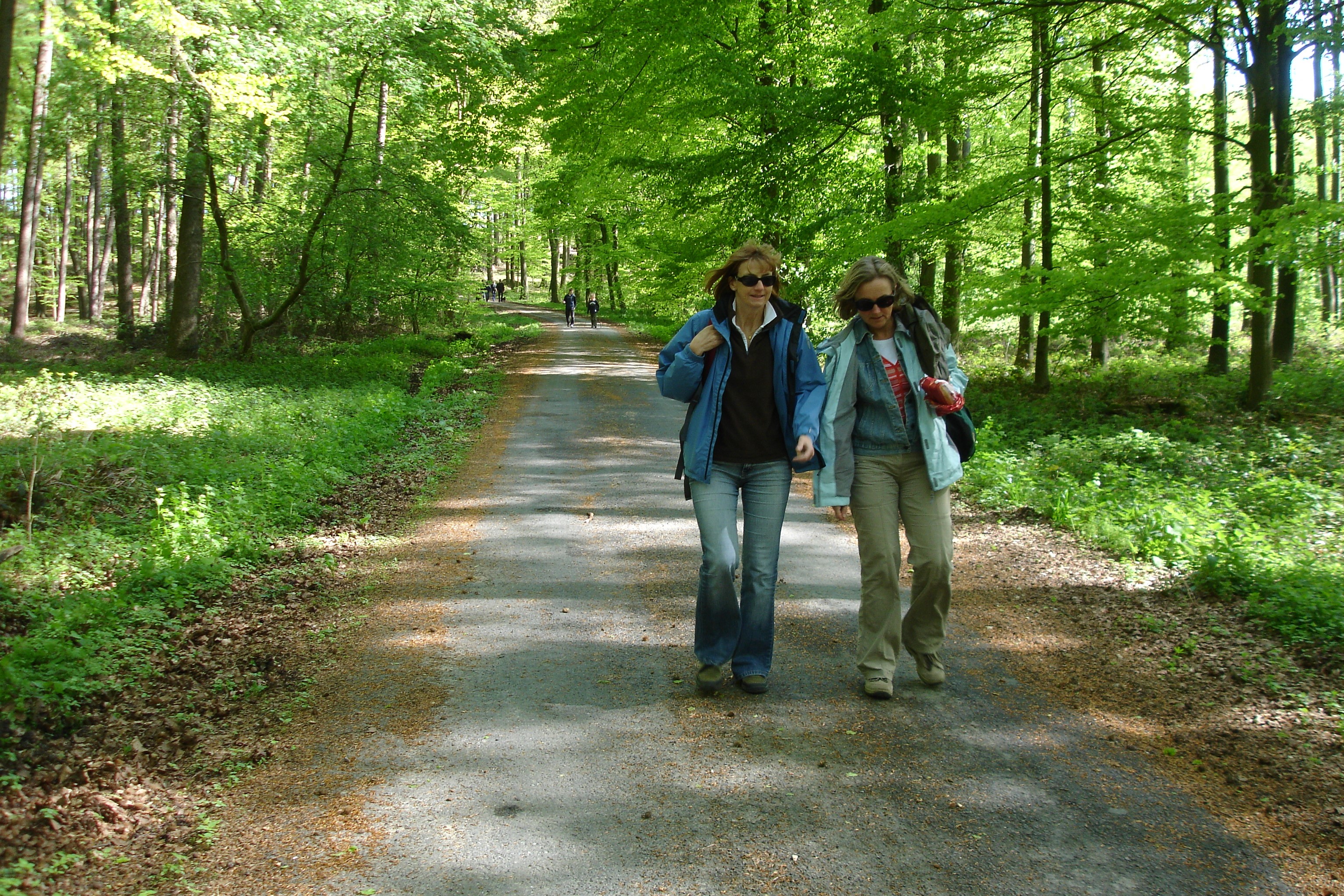 Altenau-Wanderweg