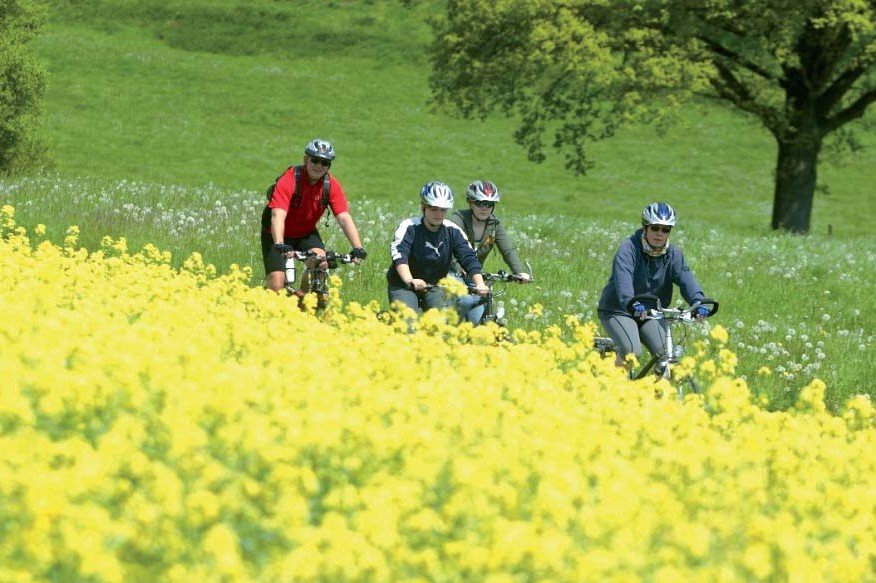 Alme-Radweg